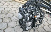 Motor VW Polo Golf Passat 1.6 TDI CAY CAYD CAYC CAYK 105PS 85PS Sachsen - Torgau Vorschau