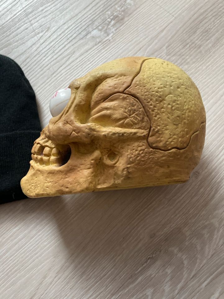 Totenkopf Totenschädel mit beweglichen Auge in Hoppstädten-Weiersbach