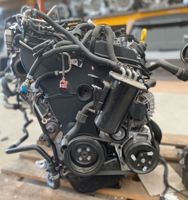 MOTOR DFH 2.0 TDI 190 PS AUDI SEAT SKODA VW KOMPLETT ! ! ! Sachsen - Halbendorf Vorschau