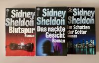 Sidney Sheldon Niedersachsen - Bad Lauterberg im Harz Vorschau