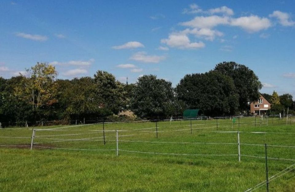 Offenstall Weide in Norderstedt Friedrichsgabe an Selbstversorger in Norderstedt