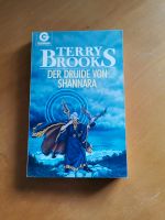 Der Druide von Shannara - Terry Brooks Niedersachsen - Delligsen Vorschau