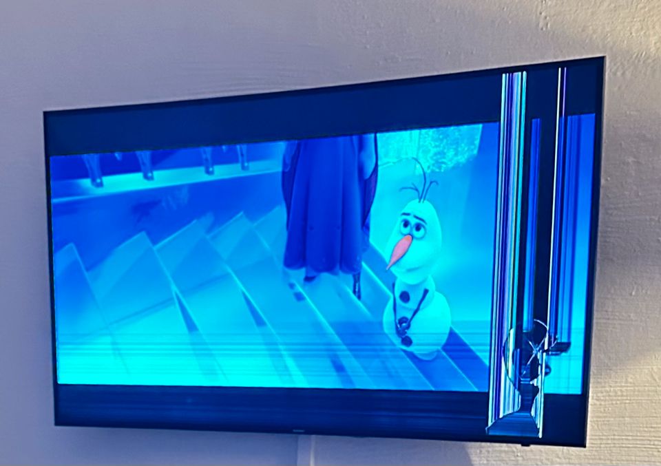 Samsung Curved Smart Tv 65" Zoll Displayschaden Fernseher in Bad Salzuflen