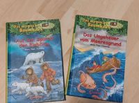 Bücher Das magische Baumhaus Buchpaket Nordrhein-Westfalen - Gelsenkirchen Vorschau