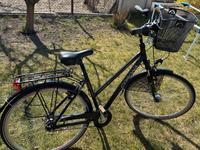 Damen Fahrrad 28 Zoll Brandenburg - Seddiner See Vorschau