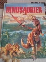 Kinderbuch Dinosaurier Rheinland-Pfalz - Ochtendung Vorschau