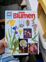 Was ist Was Wilde Blumen Köln - Ehrenfeld Vorschau