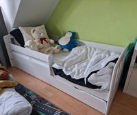 Kinderbett Bett Kleinkinder mit Aufbewahrung mit Schublade Rostock - Kröpeliner-Tor-Vorstadt Vorschau