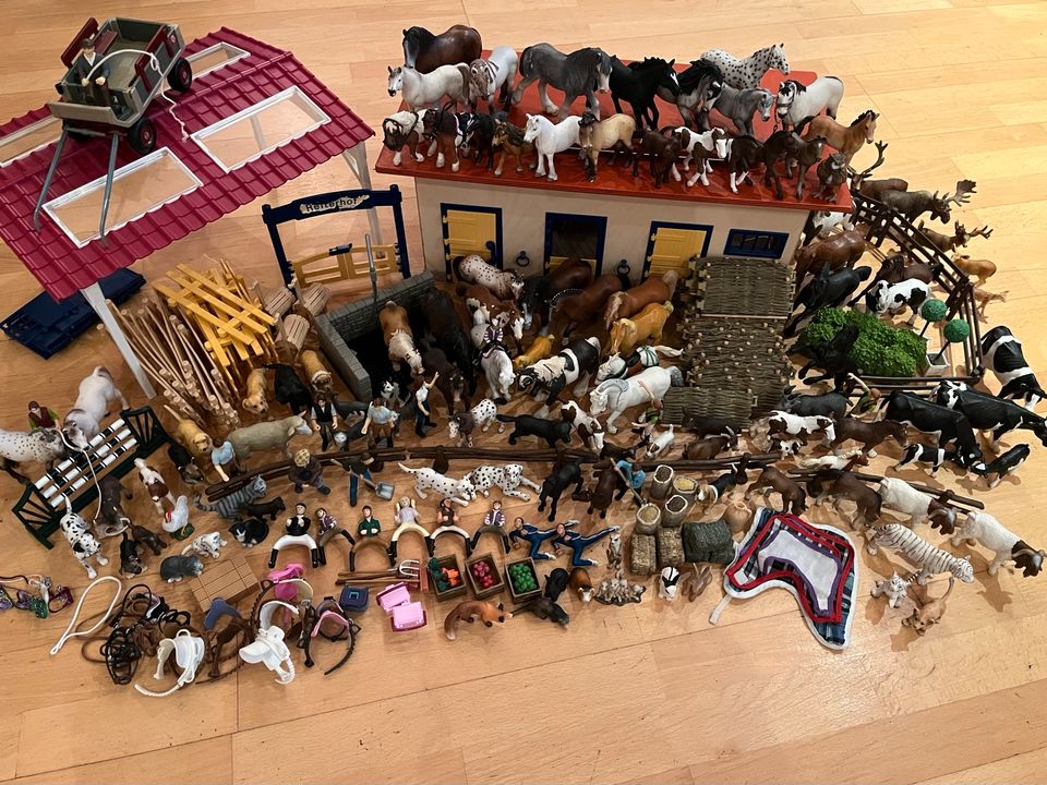 Großer Schleich Reiterhof in Stolberg (Rhld)