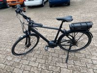 Giant E-Fahrrad Kreis Ostholstein - Sereetz Vorschau