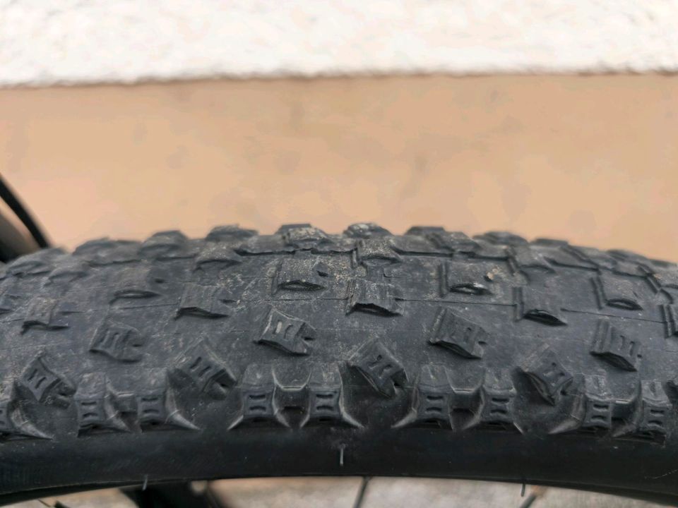 Scott Contessa 740 27.5 Zoll Reifen (Fahrrad, Mädchenfahrrad) in Riederich