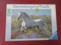 Puzzle Apfelschimmel 1500 Neu OVP Sammlung Ravensburger Paket Rheinland-Pfalz - Landau in der Pfalz Vorschau