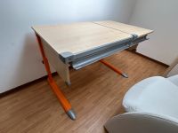 Kettler Büroschreibtisch Orange - Top Zustand! Rheinland-Pfalz - Kroppach Vorschau