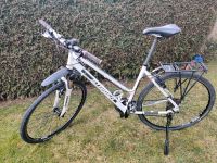 Staiger Fahrrad 28 Zoll Bayern - Ostheim Vorschau