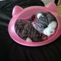 Baby Born Katze ,,Cookie" Nordrhein-Westfalen - Eschweiler Vorschau
