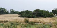 LANDWIRTSCHAFTLICHE FLÄCHE in Wimmelburg; Gebotsverfahren!; Exposé beachten!!! Sachsen-Anhalt - Wimmelburg Vorschau