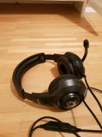 QPad Headset Bayern - Pocking Vorschau