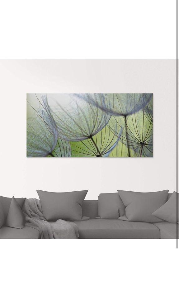 ARTLAND Bild Acrylglas »Pusteblumen-Samen II« Blumen 50x125 cm in Rottweil