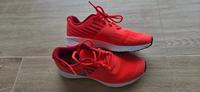 Turnschuhe Nike Star Runner Hessen - Niederdorfelden Vorschau