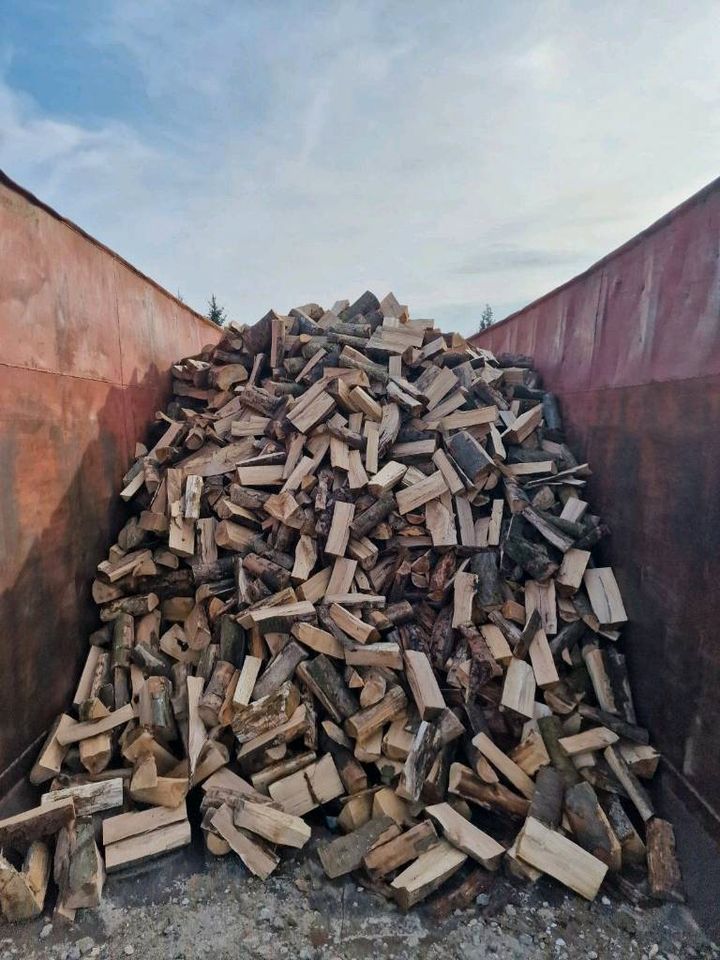 Brennholz /  trocken Kaminholz Buche halbtrocken zu verkaufen in Milmersdorf