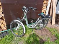 Ebike 26zoll kaum benutzt funktioniert eingeschränkt Sachsen-Anhalt - Alsleben (Saale) Vorschau