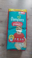 Pampers Baby Dry pants gr. 4 Big Pack 54 St Thüringen - Heilbad Heiligenstadt Vorschau
