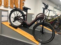 E-Bike Trekking Pegasus Strong Evo 10 Lite 50cm Wave UVP 4599 Nordrhein-Westfalen - Iserlohn Vorschau