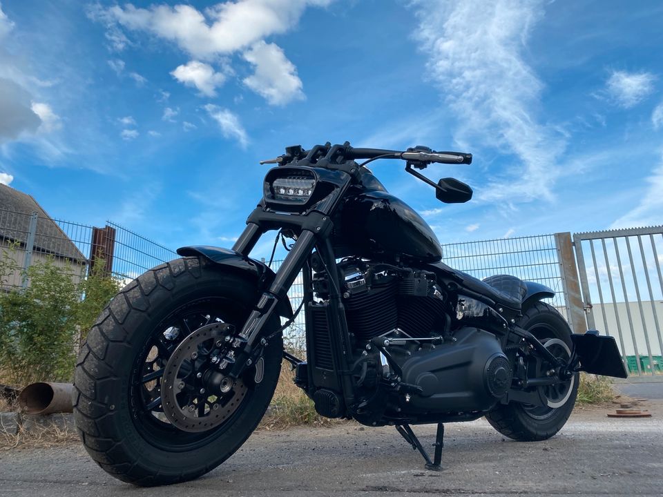 Harley Davidson Fat Bob 114 Softail in Weilerswist