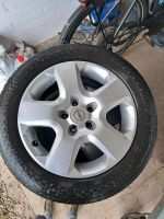 Winterreifen, 205 55 R16, Opel Zafira, Astra, 5x110 Schleswig-Holstein - Mohrkirch Vorschau