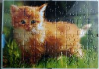 Puzzle mit Katze/n, 4 Stück, je 54 Teile Nordrhein-Westfalen - Velbert Vorschau