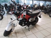 HONDA DAX 125 Niedersachsen - Leezdorf Vorschau