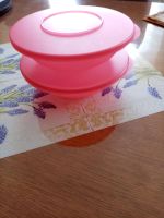 Tupperware Junge Welle Behälter 400ml Nordrhein-Westfalen - Nörvenich Vorschau