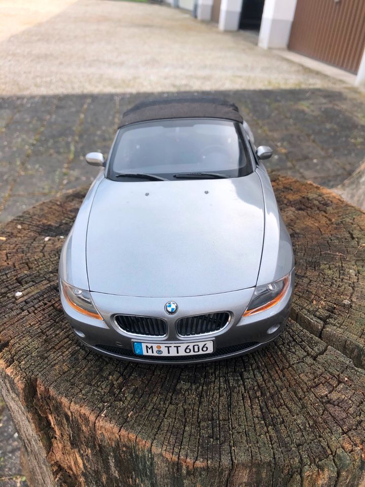 BMW Z4 Modell 1/12 in Wallersdorf