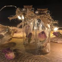 Mini-Glasfläschchen, Geschenkidee, Gastgeschenk, Trockenblumen Bayern - Oberviechtach Vorschau