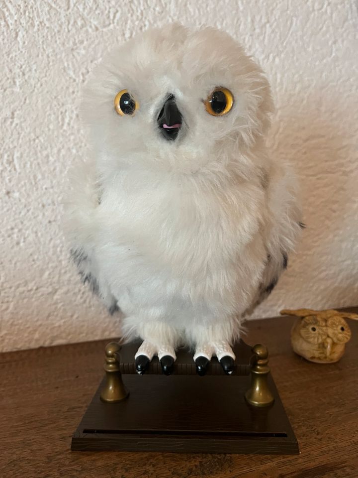 Hedwig von Harry Potter in Mühlhausen-Ehingen