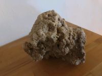 Reef-Rocks, Natürliches Riff-Gestein  20cm Bayern - Knetzgau Vorschau