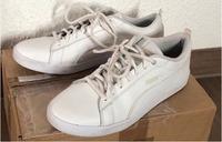 Sneaker Puma / Größe 39 / weiß Sachsen - Limbach-Oberfrohna Vorschau