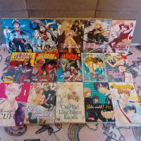 Anime Manga DVD Comic Figur Merch Anhänger Pin Hannover - Bothfeld-Vahrenheide Vorschau