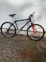 Mountainbike MTB Carver Diabolo XC Rheinland-Pfalz - Vallendar Vorschau