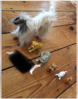 Barbie Hund Afghane Windhund Katze Haustiere zubehör Hessen - Alsbach-Hähnlein Vorschau