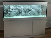AQ Kombi Neu mit Unterschrank-Abdeckung u.3-D Rückwand Leuna - Spergau Vorschau