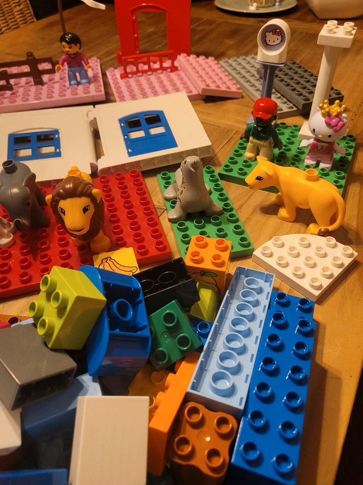 Riesiges Paket an LEGO DUPLO (171 Teile) in Karben