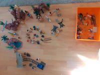 Playmobil Indianer, Western, viele Pferde und Zubehör Nordrhein-Westfalen - Arnsberg Vorschau