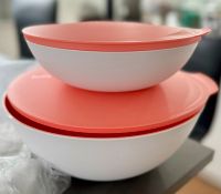 Tupperware Allegra Set Schüsseln, Koralle neu Rheinland-Pfalz - Ransbach-Baumbach Vorschau