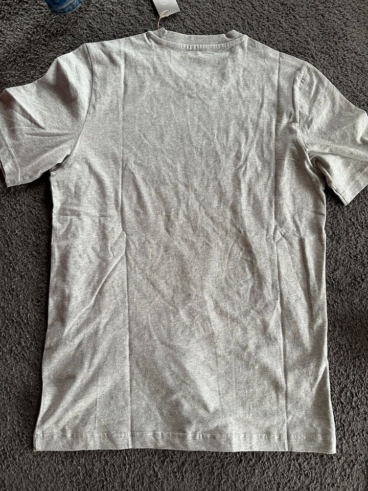 Neues Adidas T-Shirt,Herren,S,Männer,grau,Shirt,Fitness,kurzarm in Rabenau