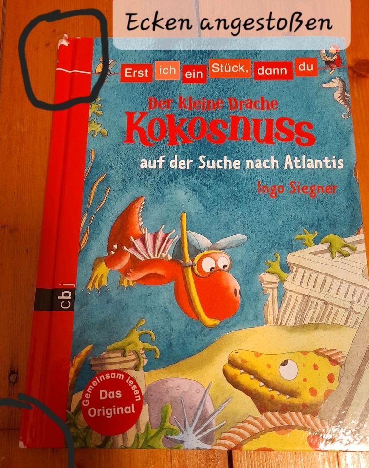 Kokosnuss- Bücher, 21 Stck. in Norderstapel