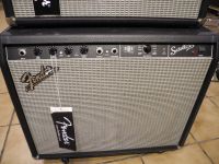 Fender SFX Satellite E-Gitarren-Lautsprecherbox, 80 Watt, Stereo Hessen - Florstadt Vorschau