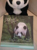 Briefmarken Bogen Panda aus China Panda Post Rheinland-Pfalz - Speyer Vorschau