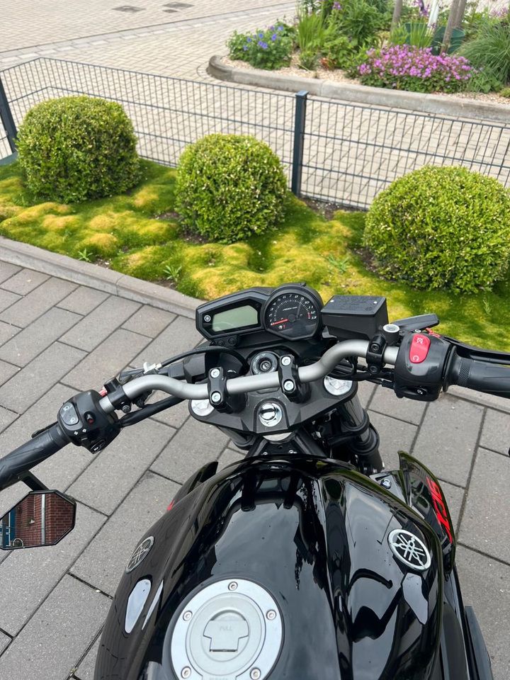 Yamaha XJ6 in Bonn