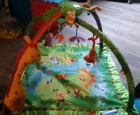 Fisherprice,, Spieledecke ,, Sachsen-Anhalt - Quedlinburg Vorschau